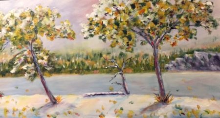 18x36