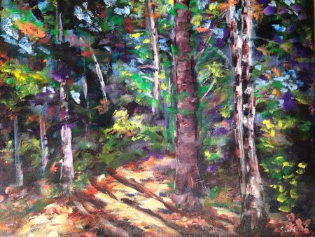 16x20