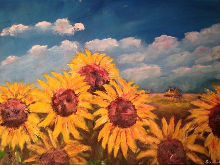 16x20