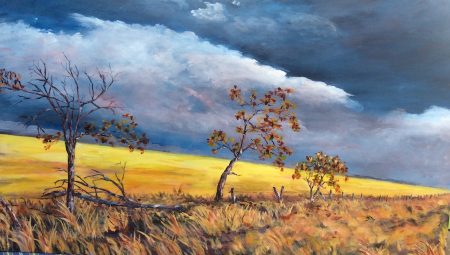 SOLD 30x48